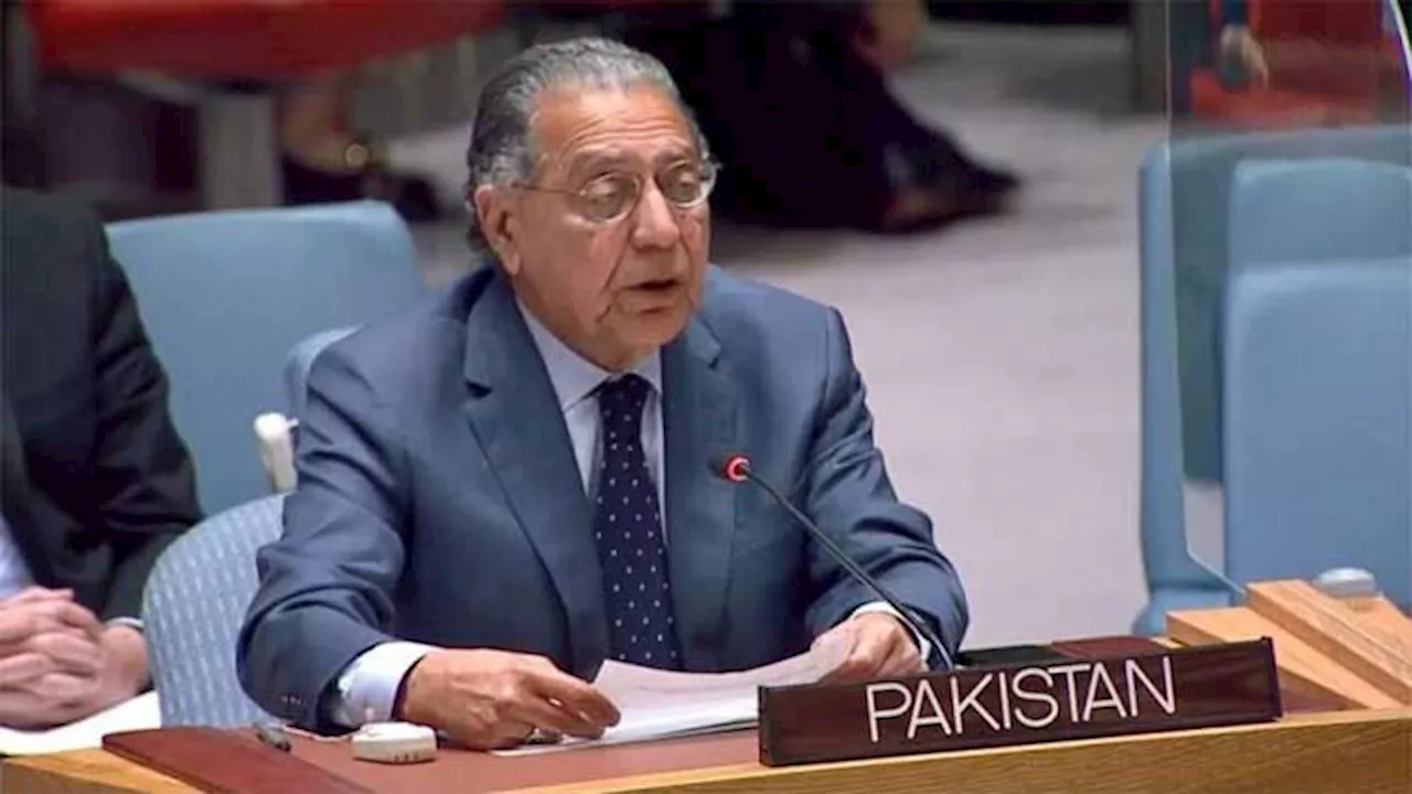 Pakistan voices 'deep' regret over US veto in UNSC on Gaza ceasefire resolution