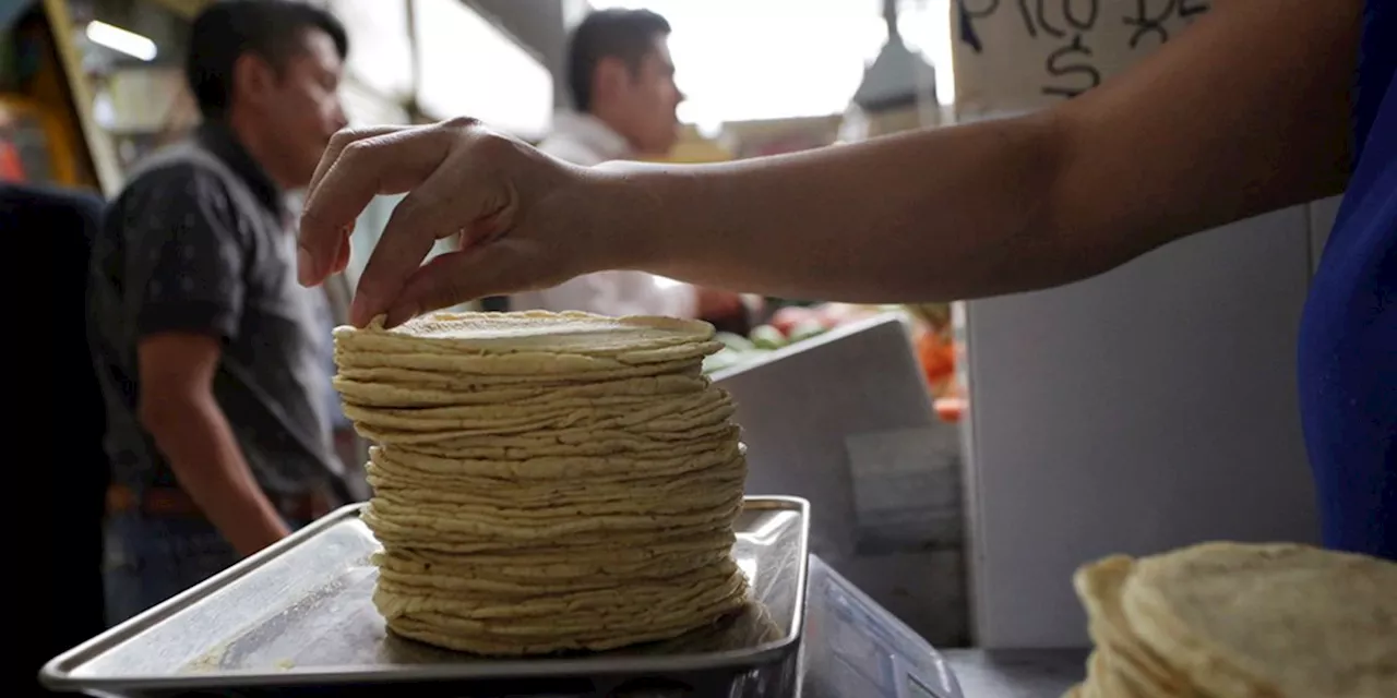 Sader se reunirá esta semana con productores para impulsar plan para reducir el precio de la tortilla