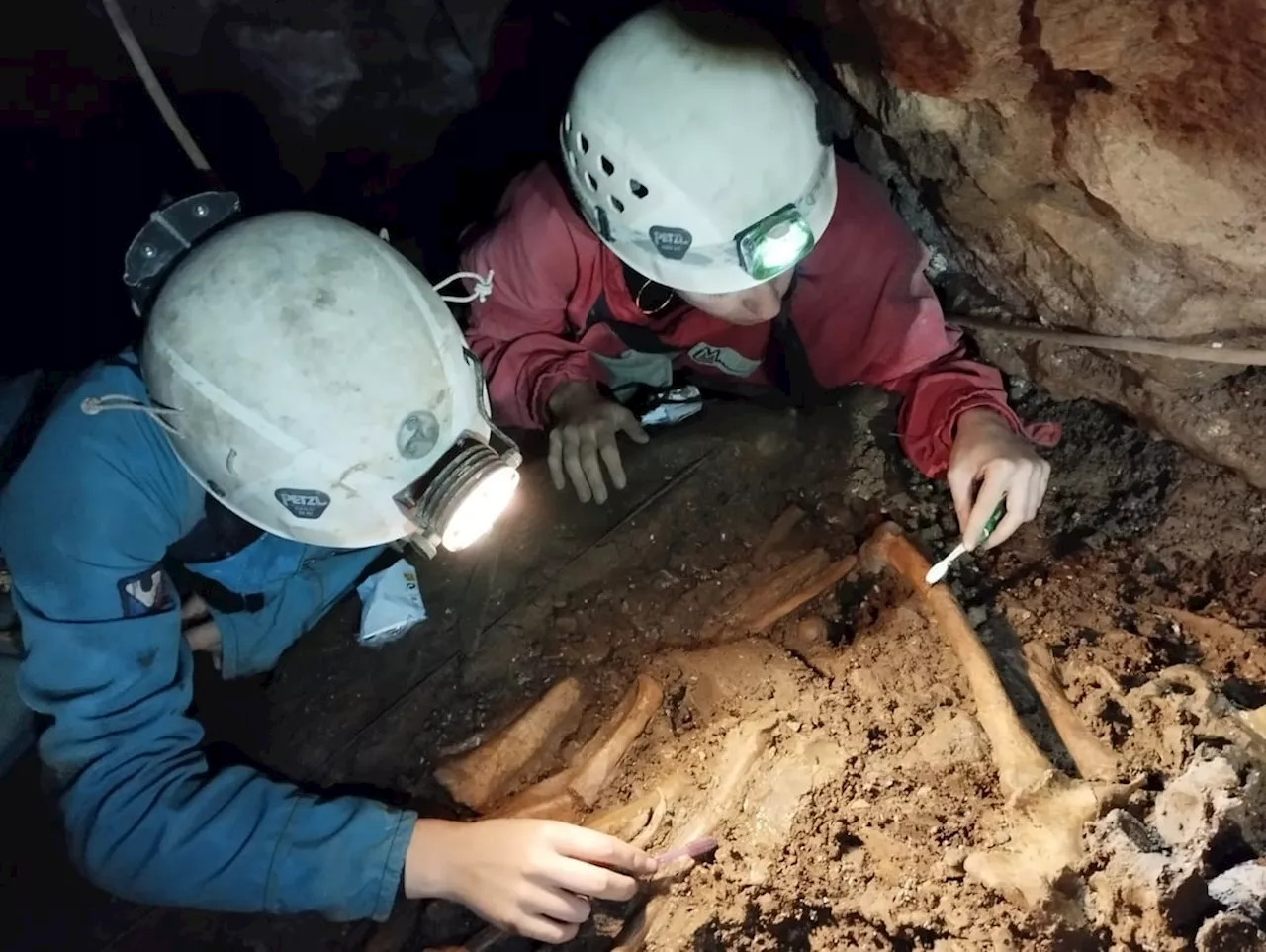 Hallado un ‘banco de ADN prerromano’ en una gruta de 60 metros de profundidad en Asturias