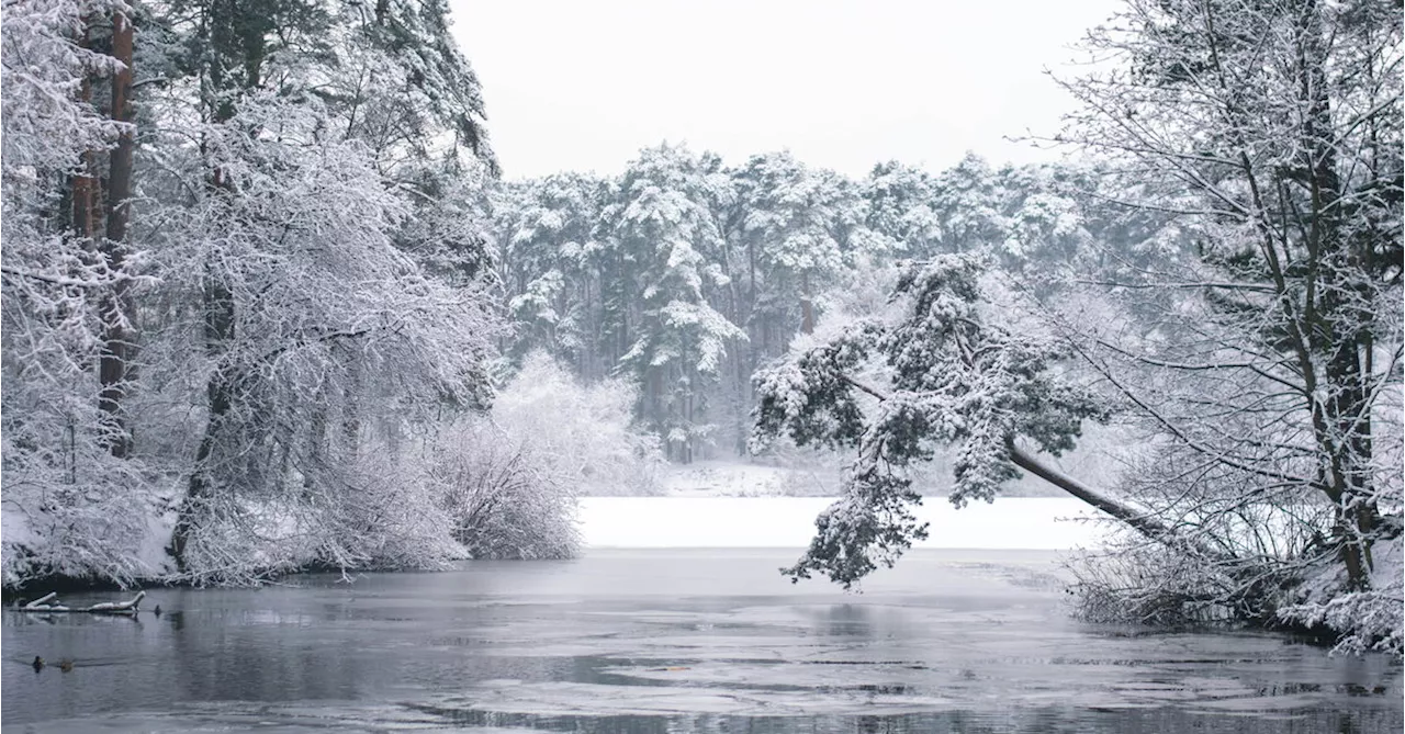 Heimweh nach dem russischen Winter