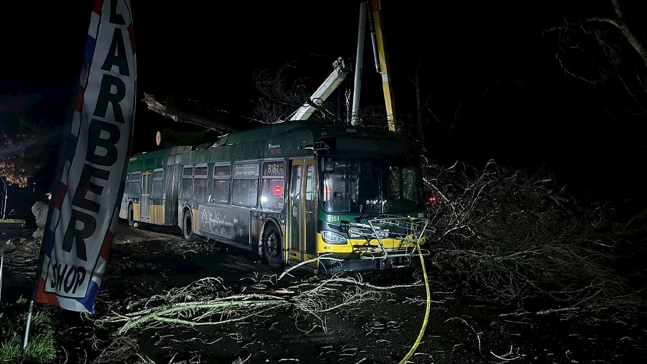 Bomb cyclone winds topple tree onto bus in Seattle