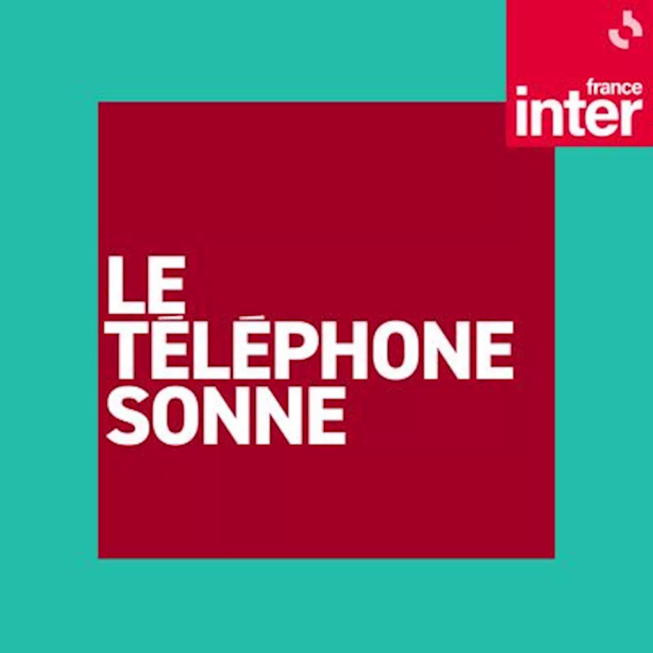 Le 18/20 : le téléphone sonne du mercredi 20 novembre 2024