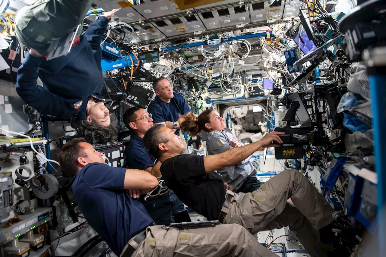 Astronauts Process Information Slower in Space, NASA Study Finds