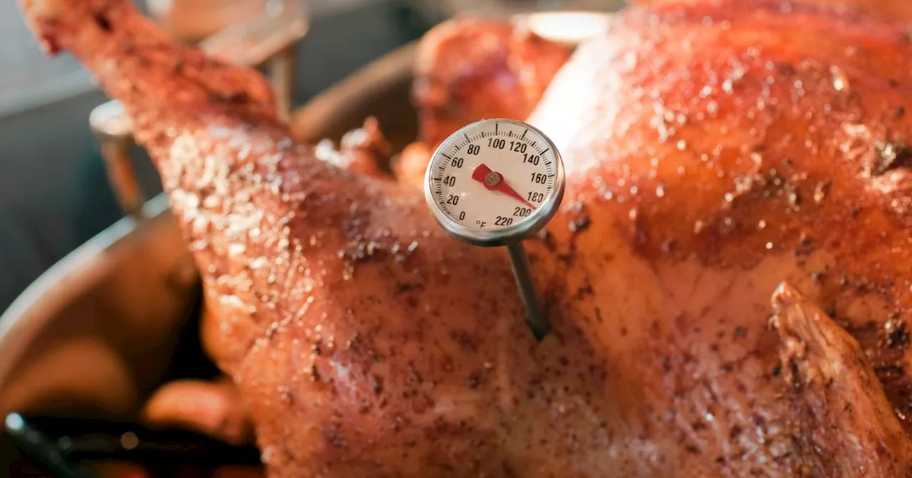 Meat Thermometers You Need For Cooking A Turkey