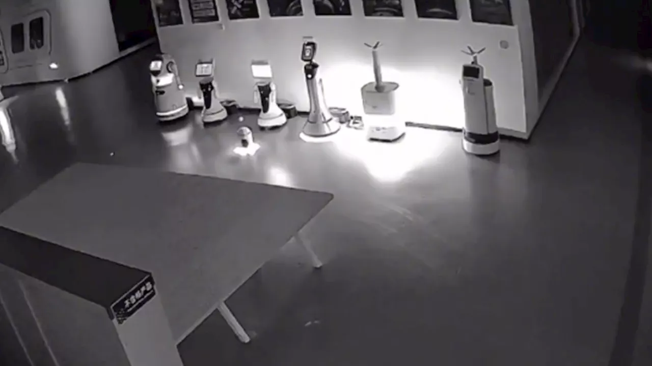 Watch: Tiny robot ‘kidnaps’ 12 big Chinese bots from a Shanghai showroom, shocks world