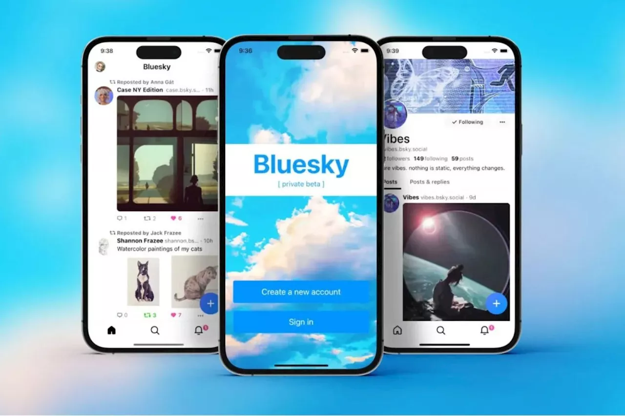 Bluesky : la nouvelle étoile montante des réseaux sociaux ?