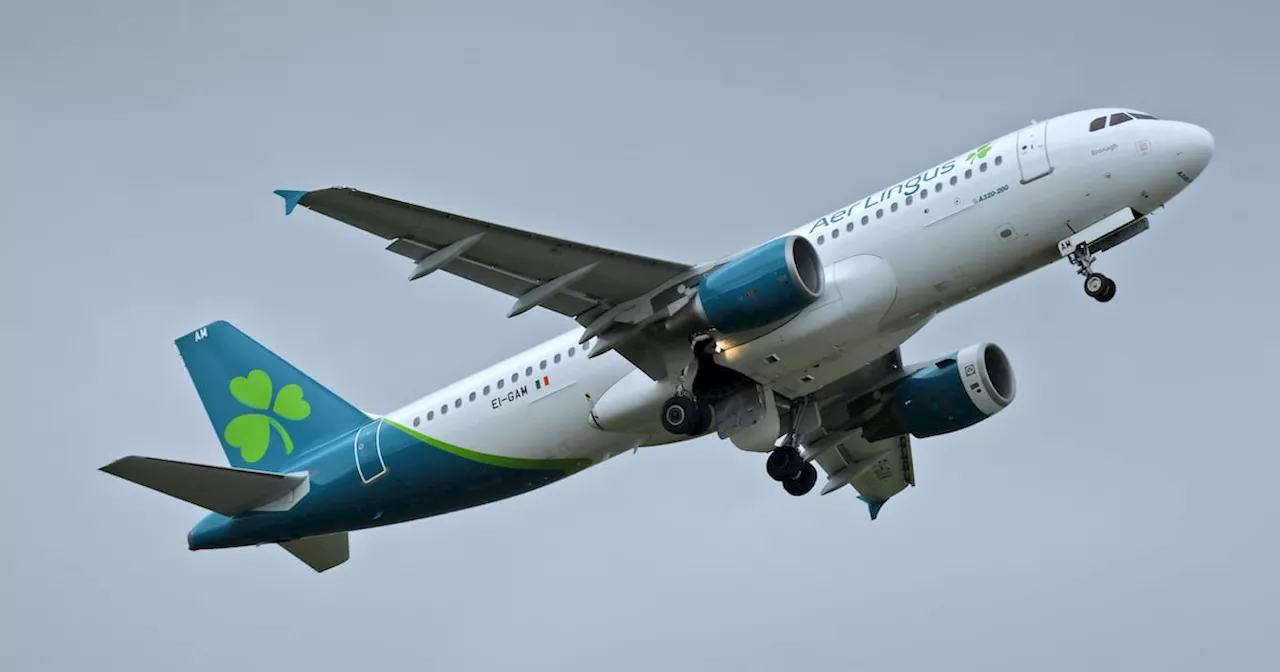 Aer Lingus to reimburse pay docked from pilots during summer work to rule