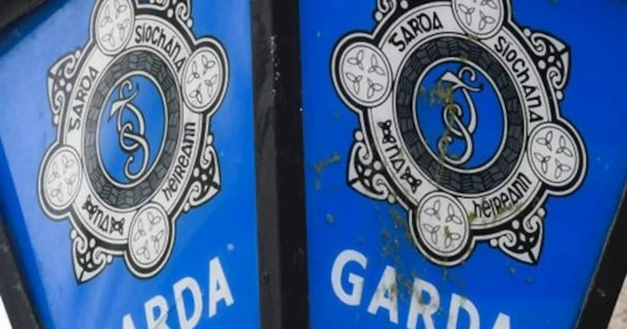 Man died instantly after he was shot five times in front door ‘hit’ at his Cork home