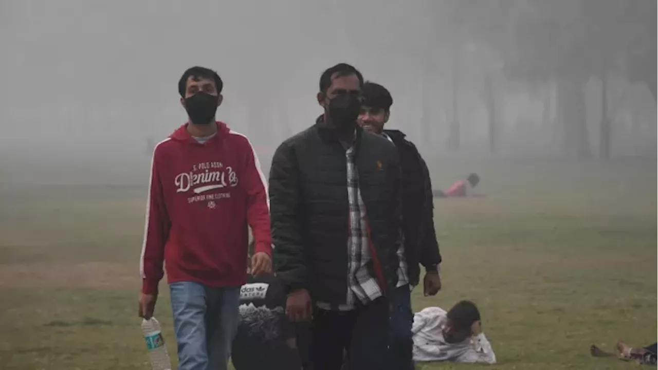 Delhi Pollution: सीपीसीपी का AQI डेटा सही या गलत? उलझा लोगों का दिमाग; जानिए क्या है आंकड़ों की हकीकत