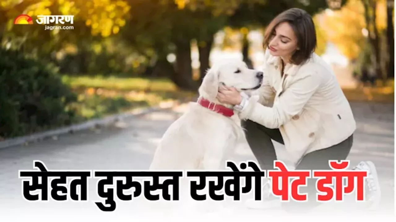 Health Benefit of Pet Dog: सालों-साल रहना चाहते हैं हेल्दी और फिट, तो घर ले आएं पेट डॉग