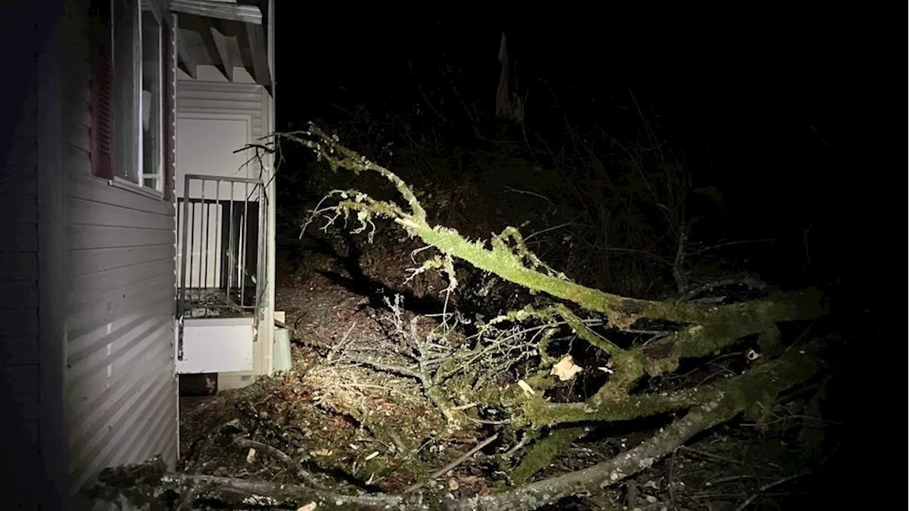 Thousands without power as storm brings strong winds to western Washington