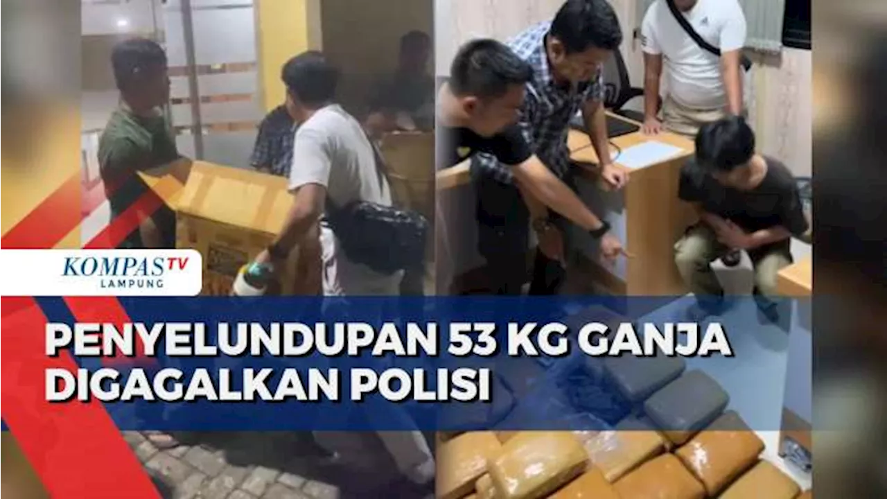 Penyelundupan 53 Kg Ganja ke Jakarta Digagalkan Polda Lampung