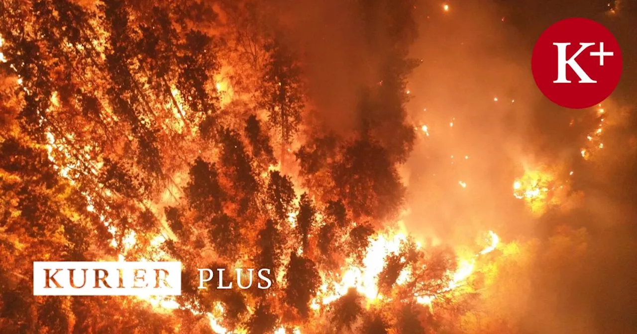 Waldbrand-Inferno auf der Rax: Was die Feuerwehr daraus gelernt hat