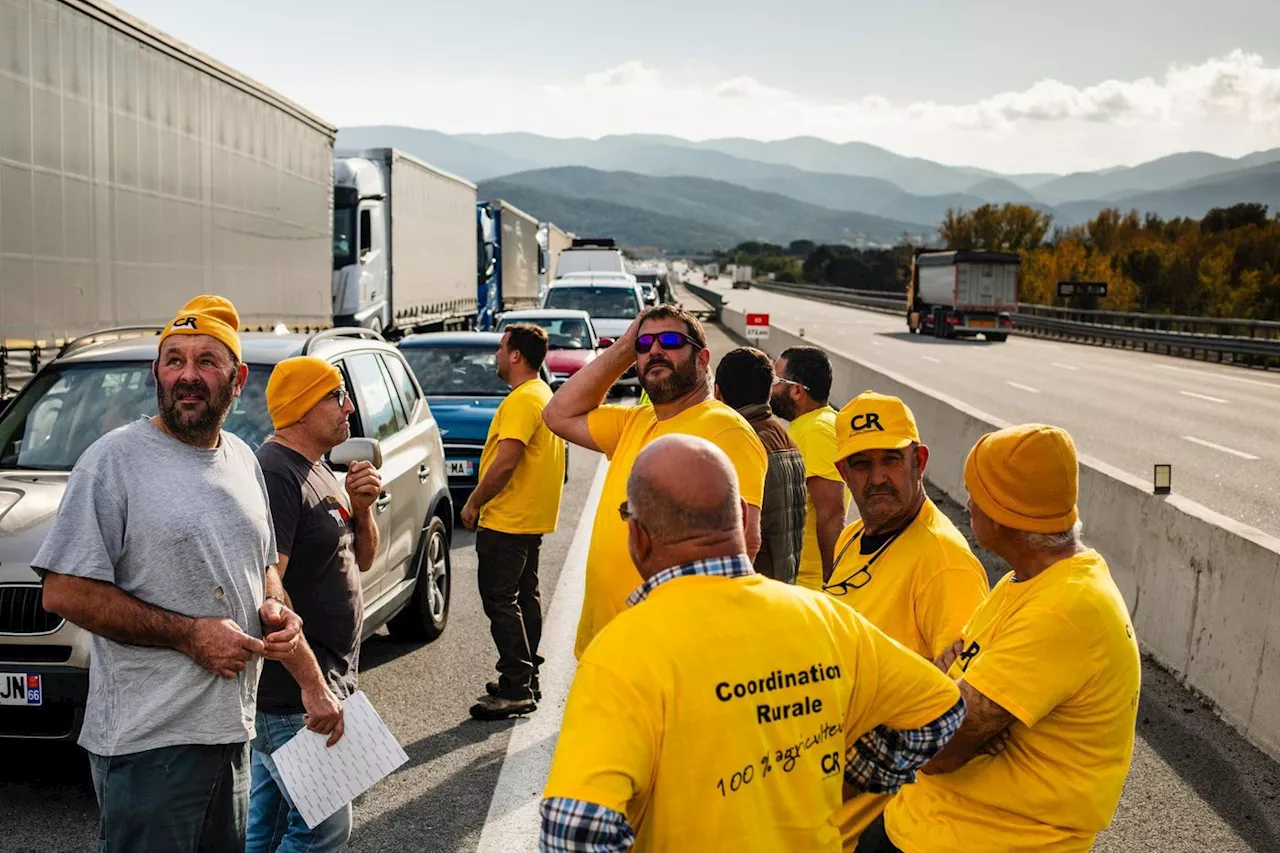 Agriculteurs : troisième journée de mobilisation, la Coordination rurale hausse le ton