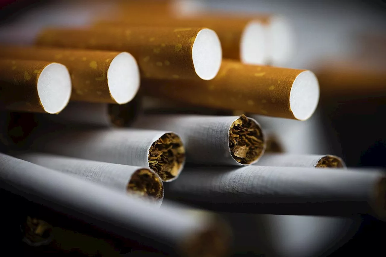 Cigarettes de contrefaçon: 50 tonnes de tabac saisies, treize interpellations en France