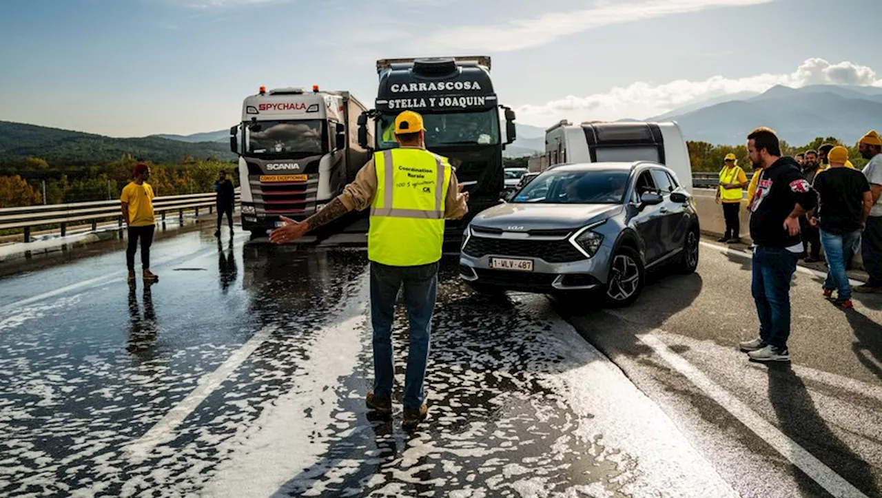 Colère des agriculteurs : la Coordination rurale prête à « provoquer le chaos » pour être entendue