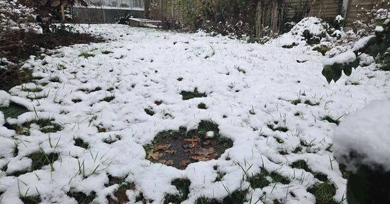 Gardeners urged to not clear snow away from gardens this winter