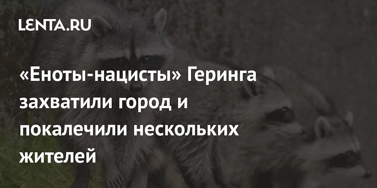 «Еноты-нацисты» Геринга захватили город и покалечили нескольких жителей