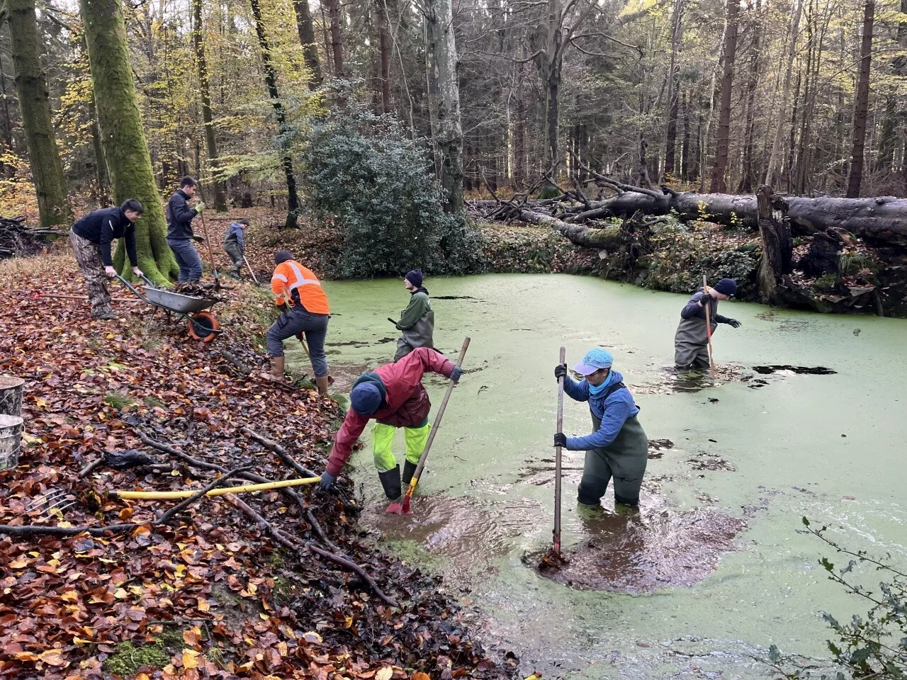 Les élèves du lycée agricole empêchent la disparition des mares dans la forêt de Crécy