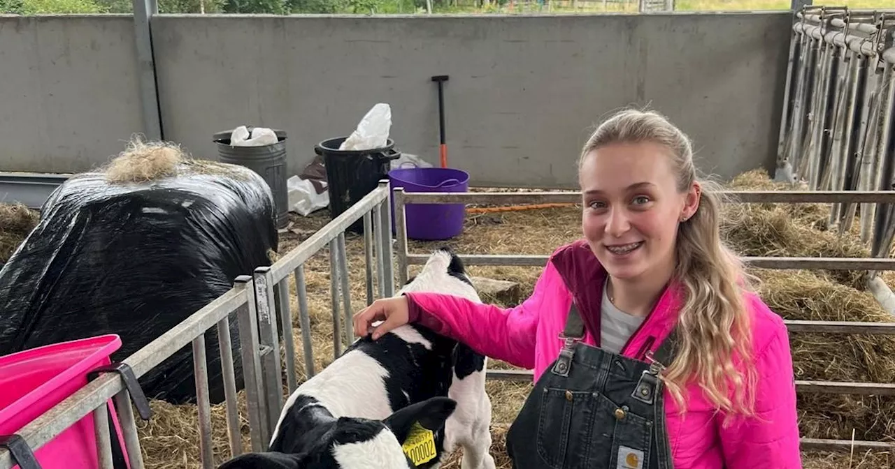 'I was trampled by a cow, and it turned my life around'