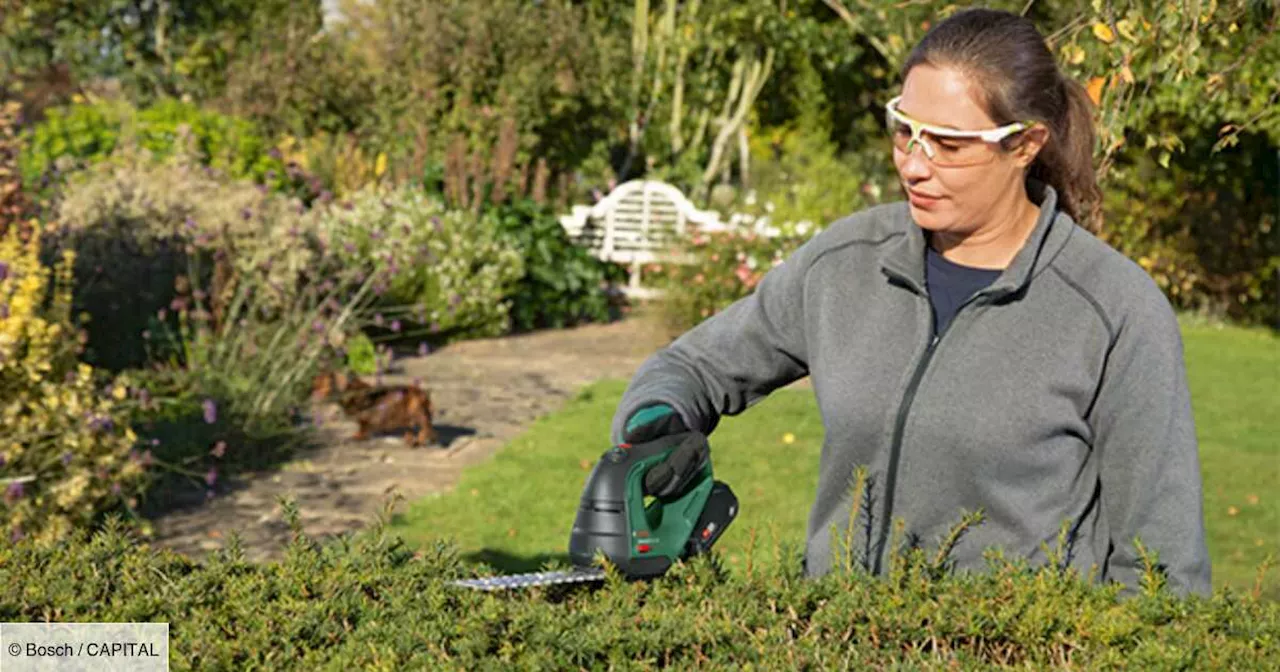 Taille-haie Bosch : cet outil indispensable pour entretenir son jardin est enfin moins cher chez Amazon