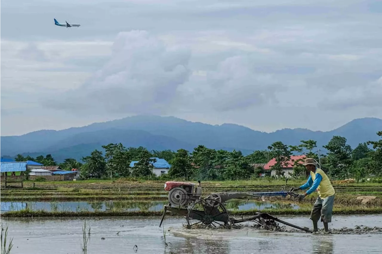 Realisasi Perluasan Areal tanam di Sulawesi Tenggara