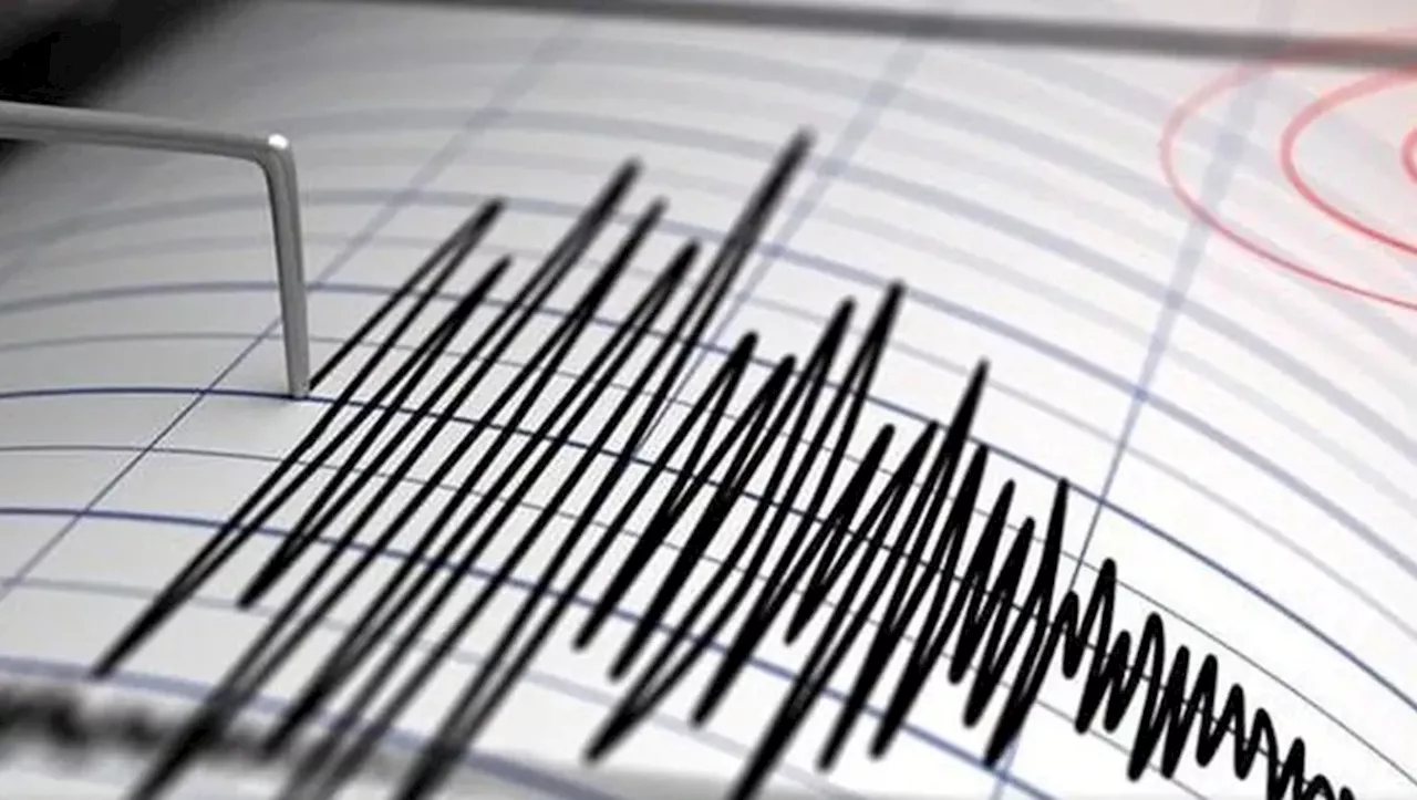 Sismo de 4.5 sacude Atoyac de Álvarez, Guerrero | HOY 20 de noviembre