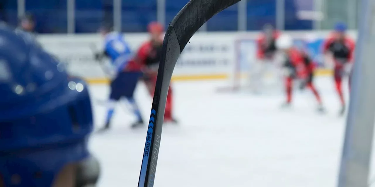 Der EHC Visp holt verdienten Sieg gegen den EHC Winterthur