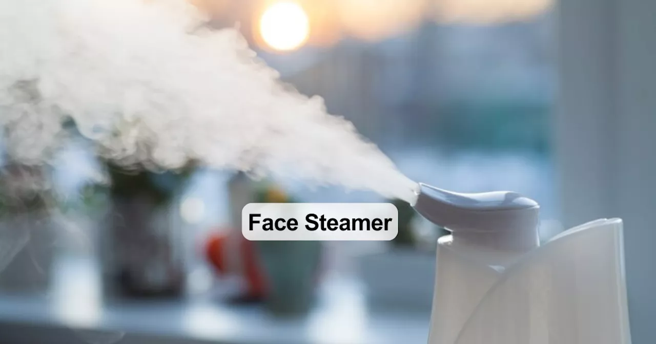 फेफड़े में जमा गंदगी को भाप बनाकर उड़ा देंगे ये Steamer, पॉल्यूशन से हुई एलर्जी का भी अचूक इलाज