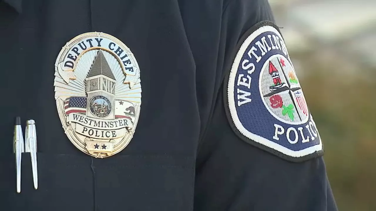 Woman arrested after trying to stab 3-year-old in Westminster