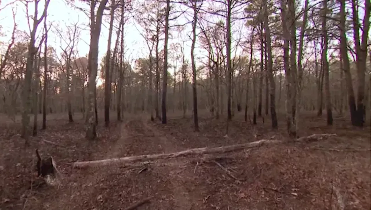 Suffolk firefighters discuss brushfire battles