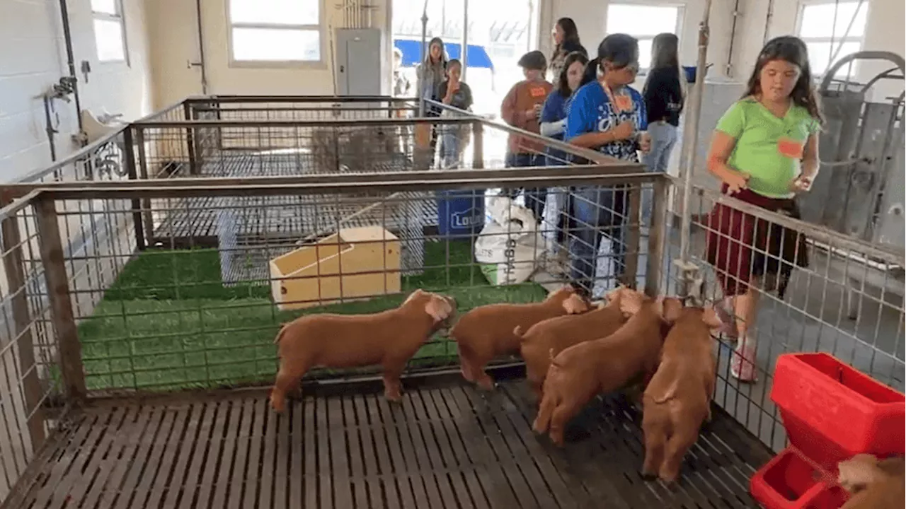 1,600 students learn about farming and food at Burbank High School's 'Ag In The City'