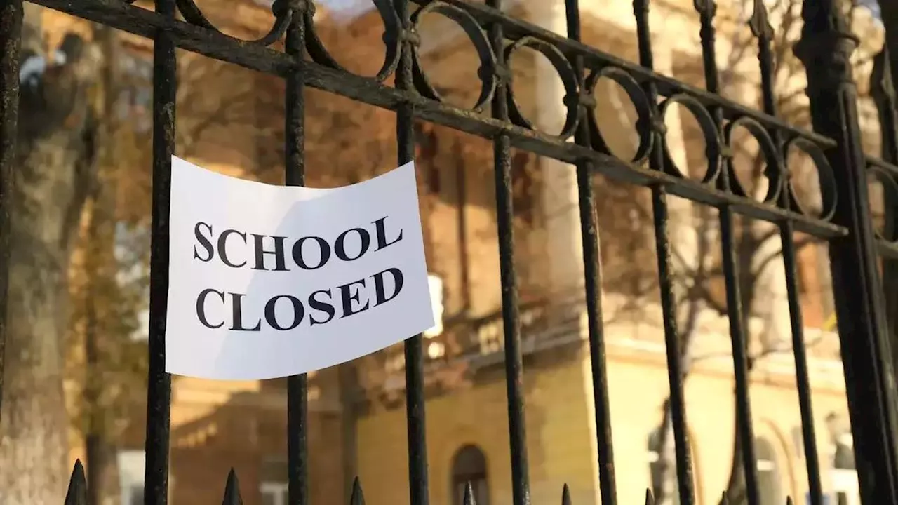 School closed: इन राज्यों के स्कूल हुए बंद, पॉल्यून का कहर बच्चों के स्वास्थ्य पर डाल रहा असर