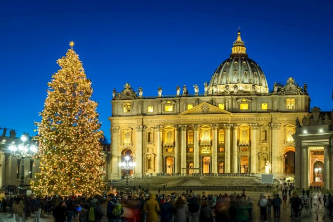 Kerstboom voor het Vaticaan geveld ondanks milieuprotest: “Traditie moet afgeschaft worden omwille van het mil