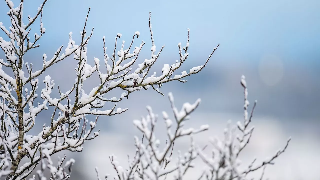 Baden-Württemberg: Schnee und Glätte da - aber Glühwein gibt es im Sonnenschein