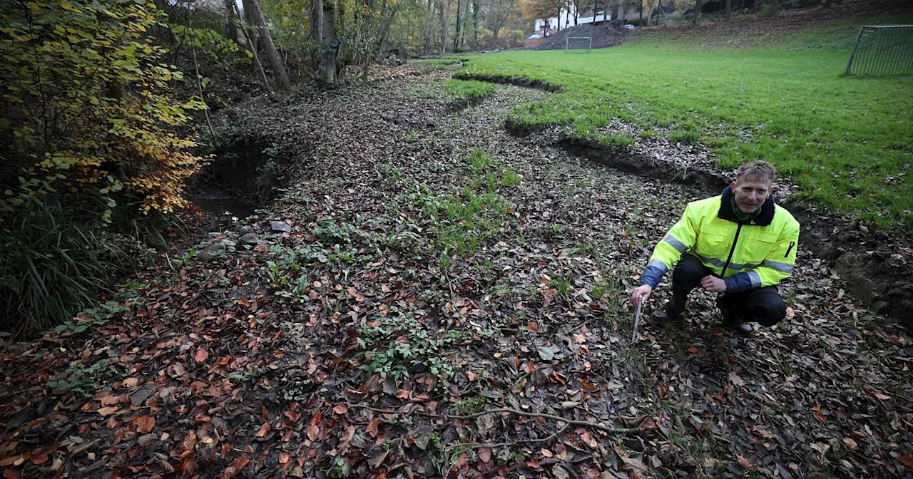 Zwei Bad Oeynhausener Gewässer auf dem Weg zurück zur Natur