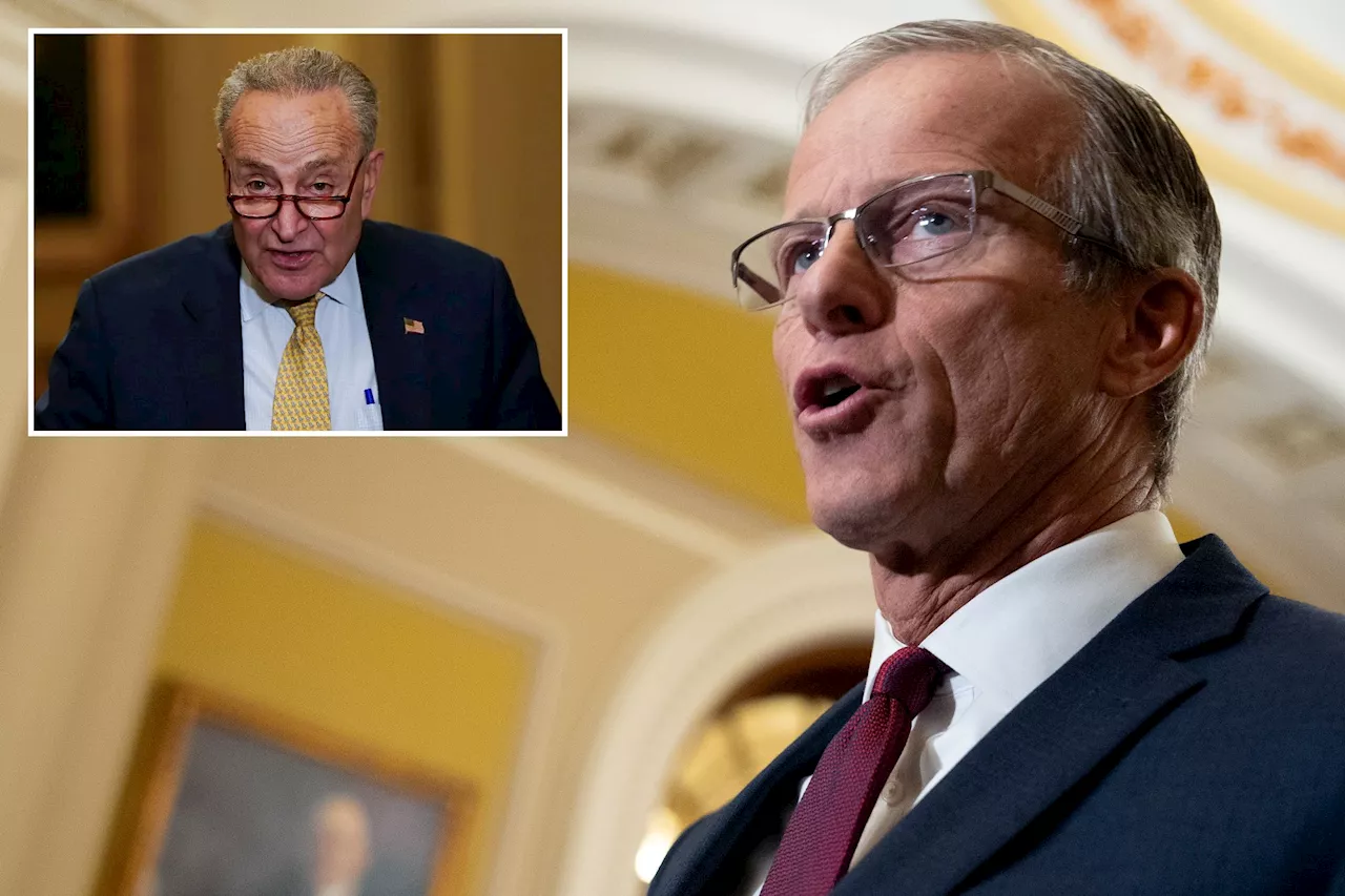 Senate Majority Leader-elect John Thune blasts Democrats for lack of Israel support