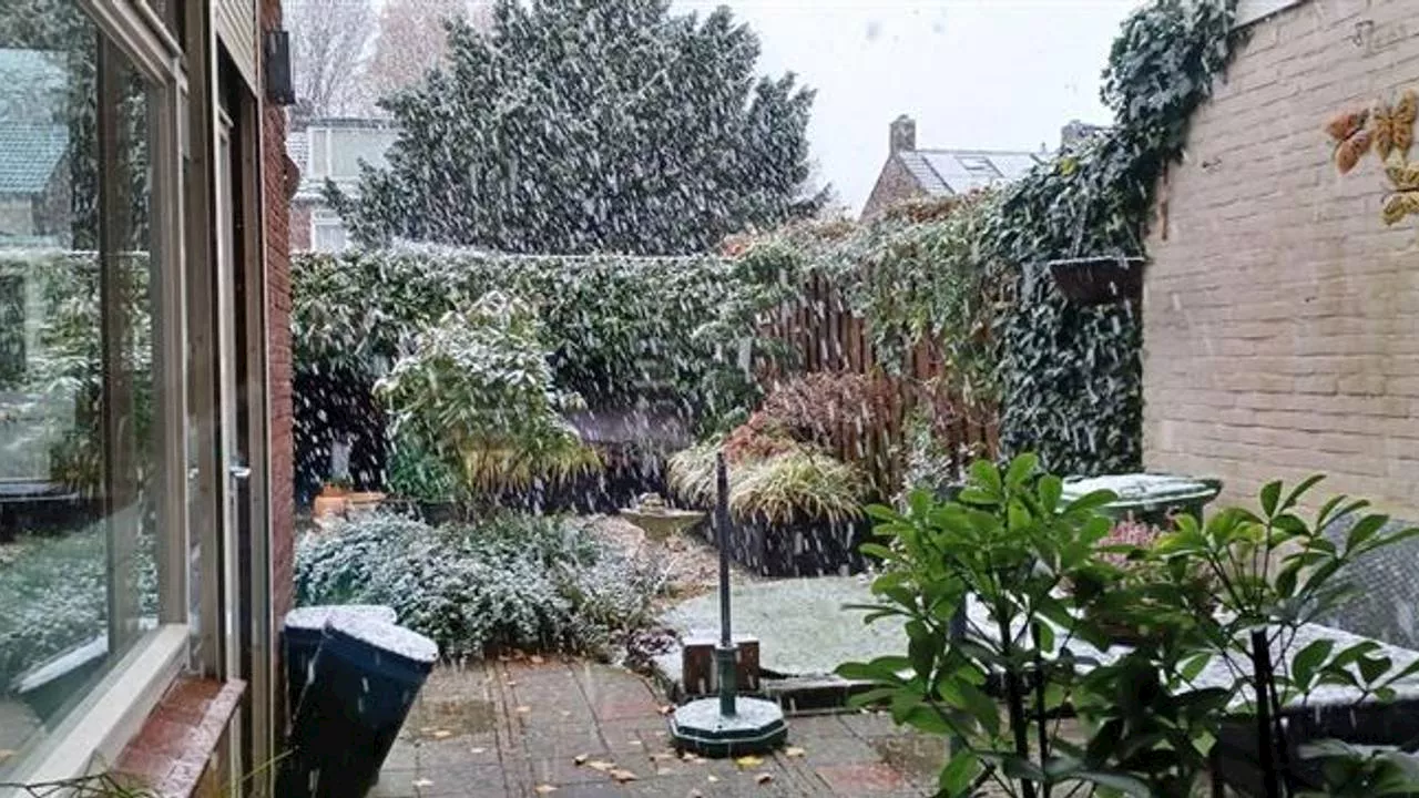 Het sneeuwt en volgens onze weerman kan het 'her en der wit worden'