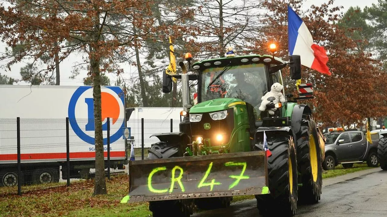 Colère des agriculteurs : comment la Coordination rurale durcit le mouvement