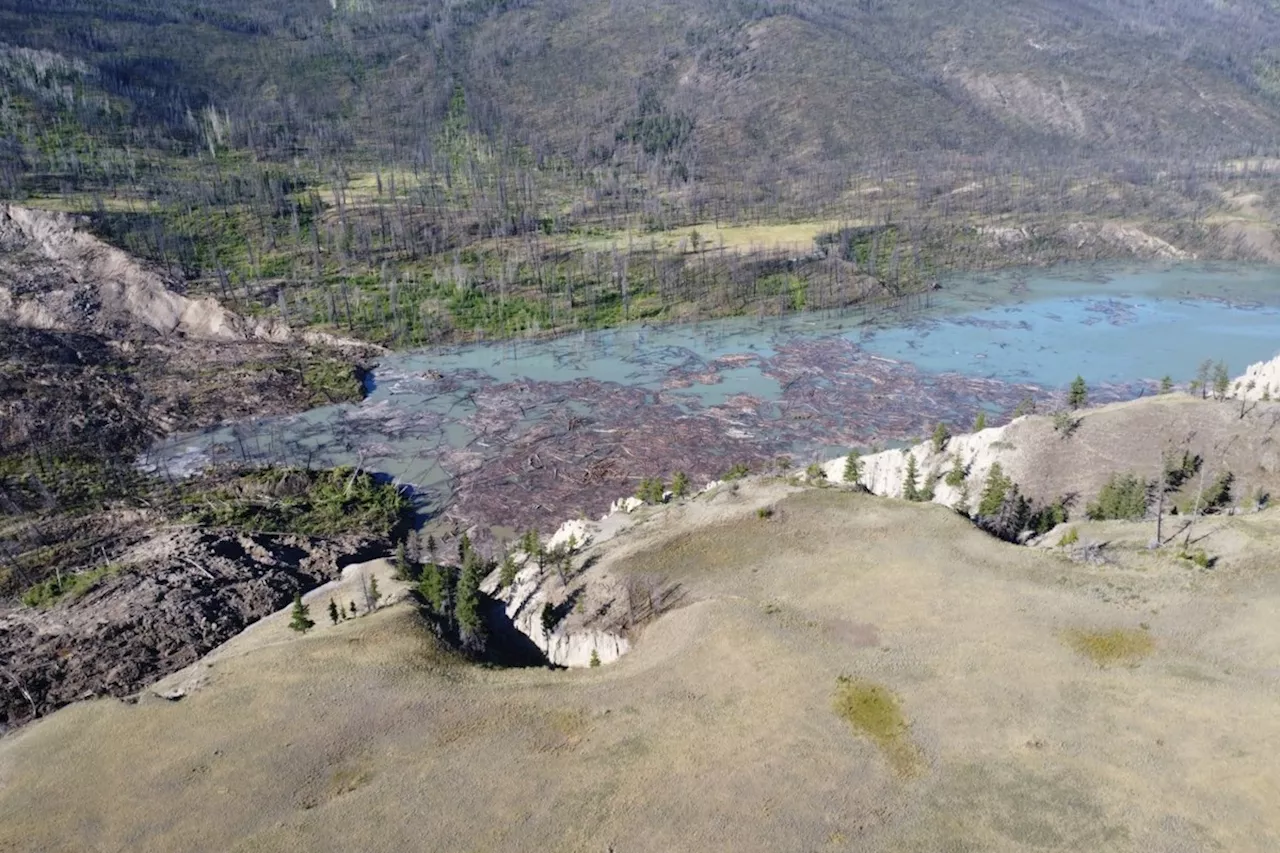 Site of massive B.C. river slide remains unstable, effects on salmon not yet clear