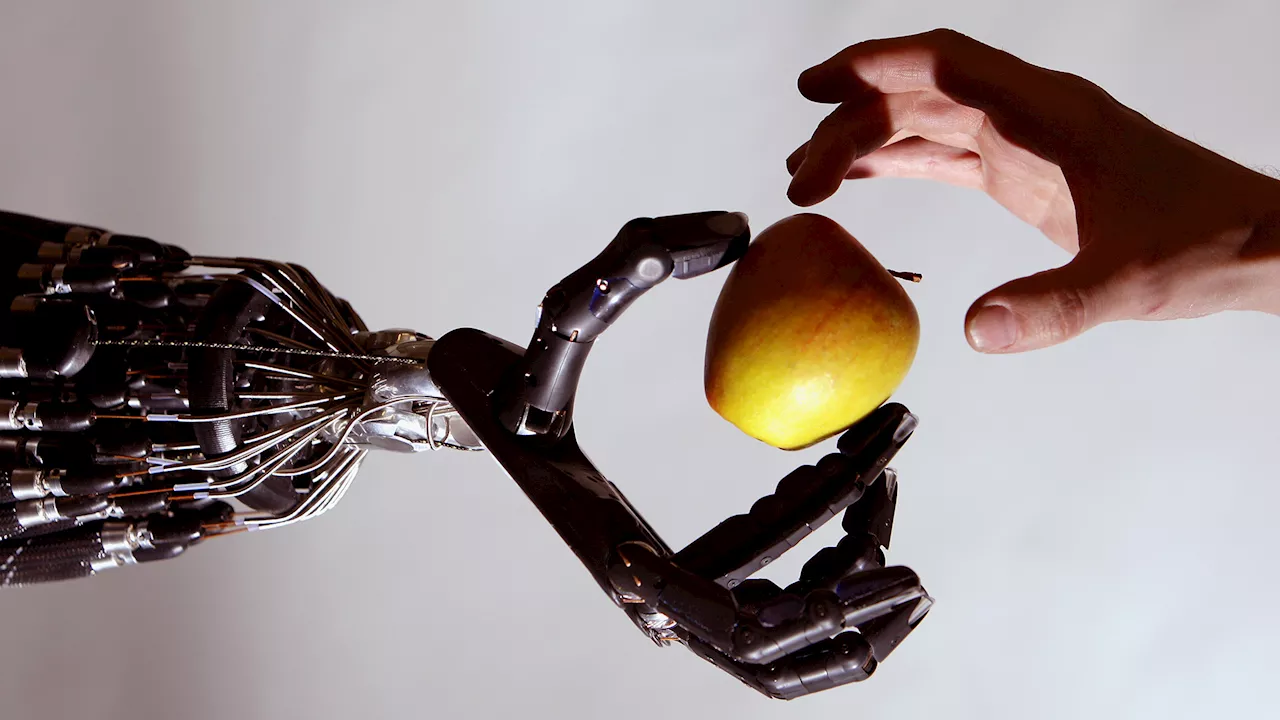 Why advanced robots still struggle with simple tasks