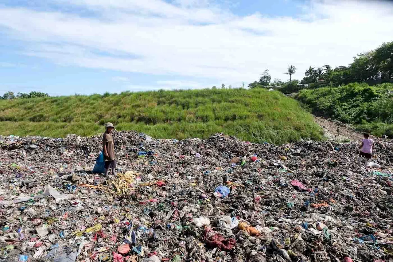 COP29: 35 countries commit to reduce methane from organic waste