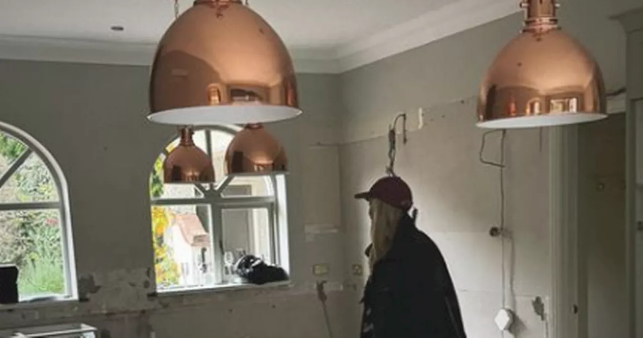 Rosanna Davison shares kitchen update amid her 'dream home' renovations