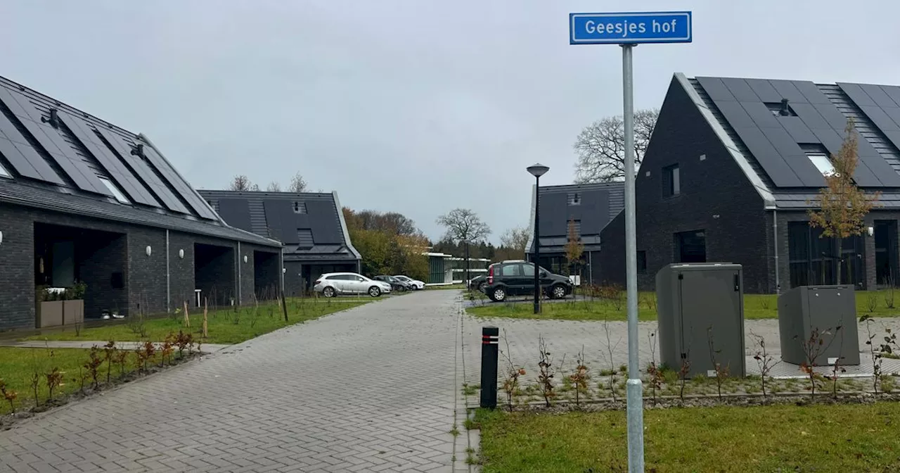 Bewoners Geesjes hof Vries al 1,5 jaar in het pikkedonker: 'Durven niet met hond eruit'