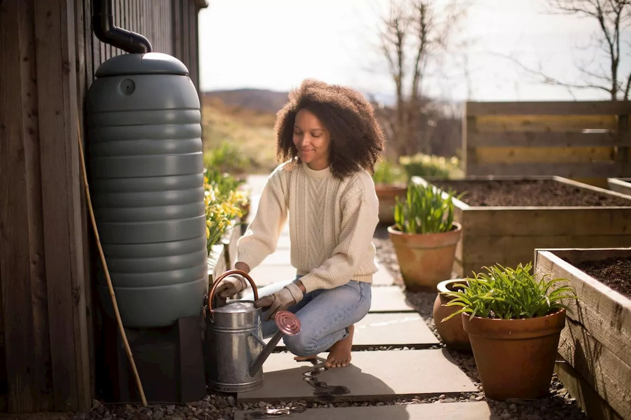 Severn Trent encouraging Shropshire customers to get a free water butt