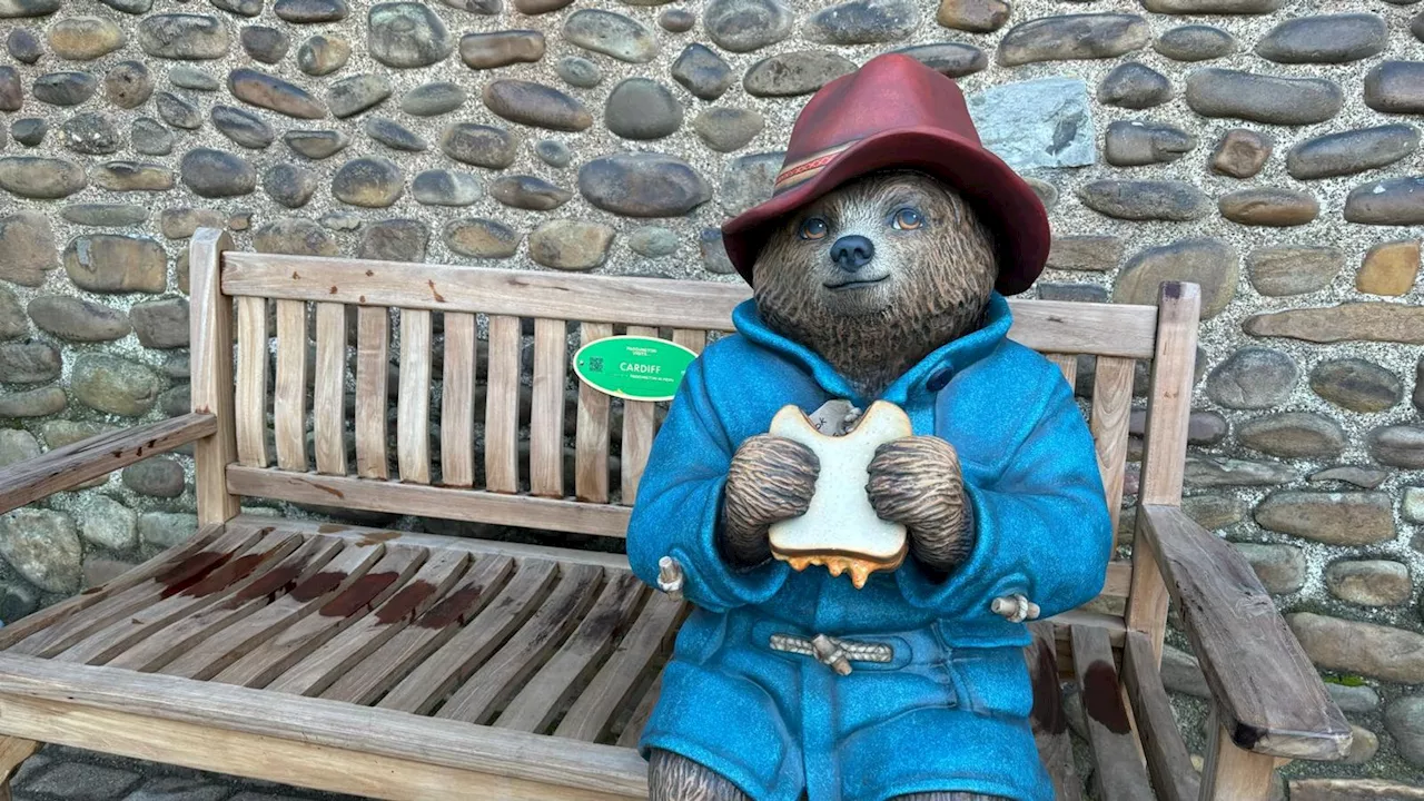 Paddington statue moved to Cardiff Castle 'so more families can enjoy him'