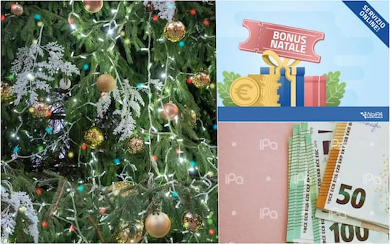 Bonus Natale statali, domande chiudono il 22 novembre. Come fare richiesta su NoiPa Selezione