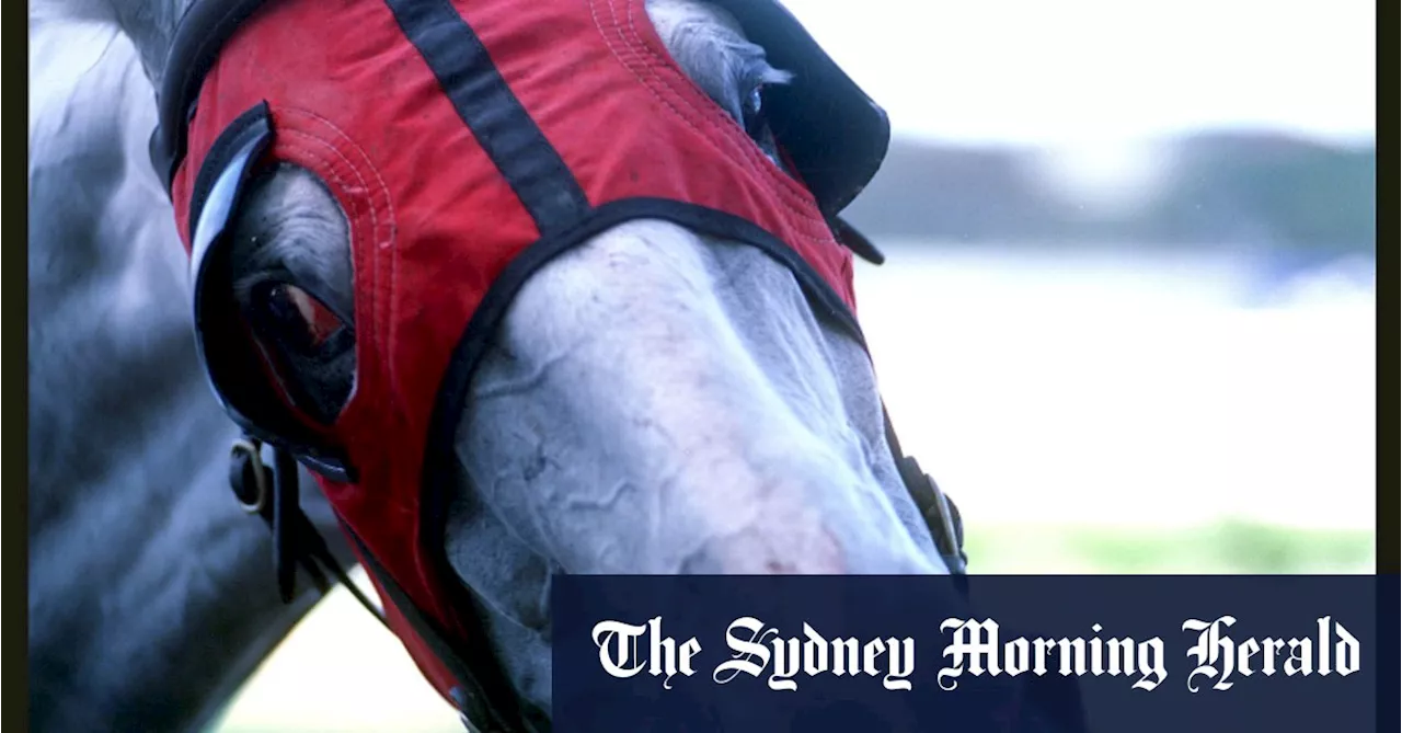 Race-by-race preview and tips for Thursday meeting at Hawkesbury