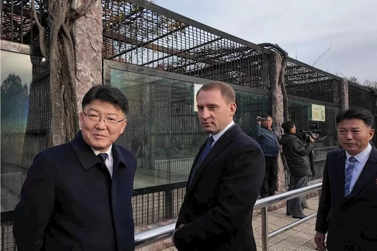 Putin gifts zoo animals, including lion and bears, to North Korean zoo