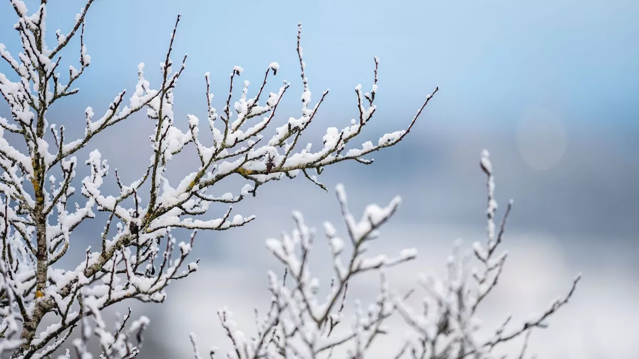 Wetter: Schnee und Glätte da - aber Glühwein gibt es im Sonnenschein